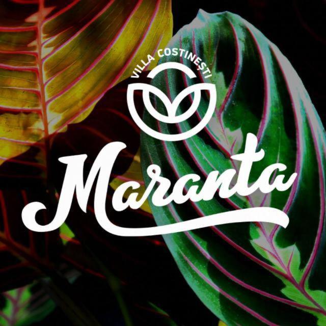 Casa Maranta Hotell Costinesti Eksteriør bilde